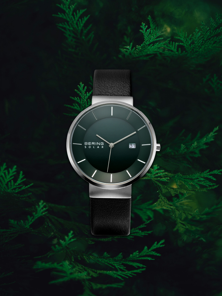 BERING14639-409