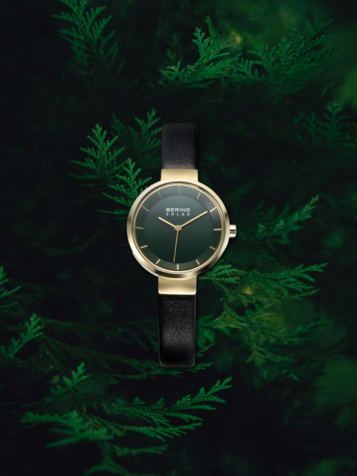 BERING14627-439