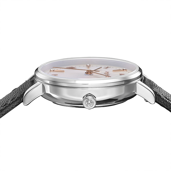 シルバー/ブラック