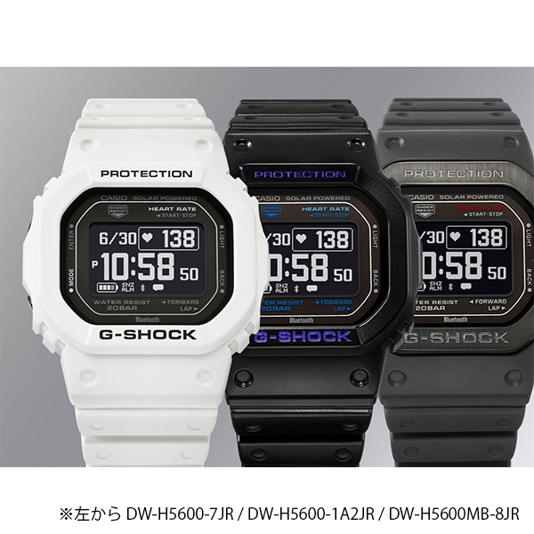 ダークグレー/SS