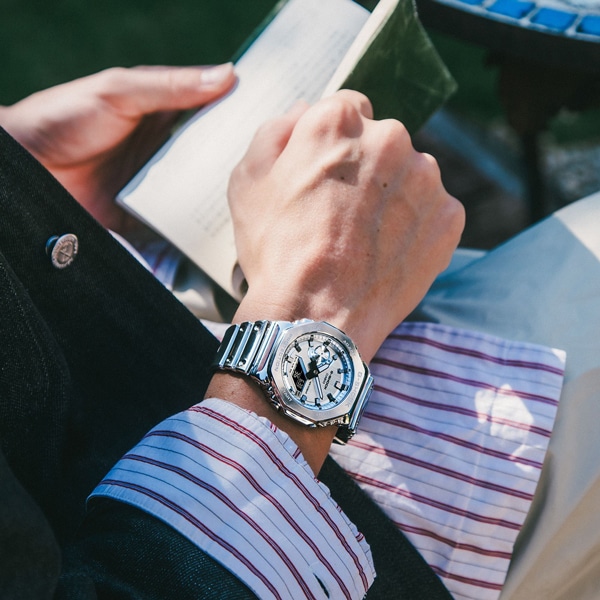 シルバー/2100 Series