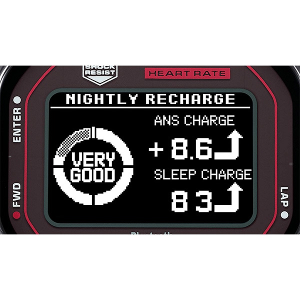 レッド/ブラック