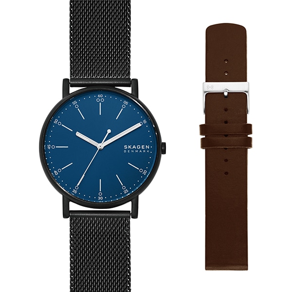 Skagen スカーゲン Signatur シグネチャー Skw1143 ベルトセット 腕時計 メンズ