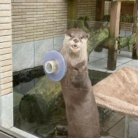 ワタナベ